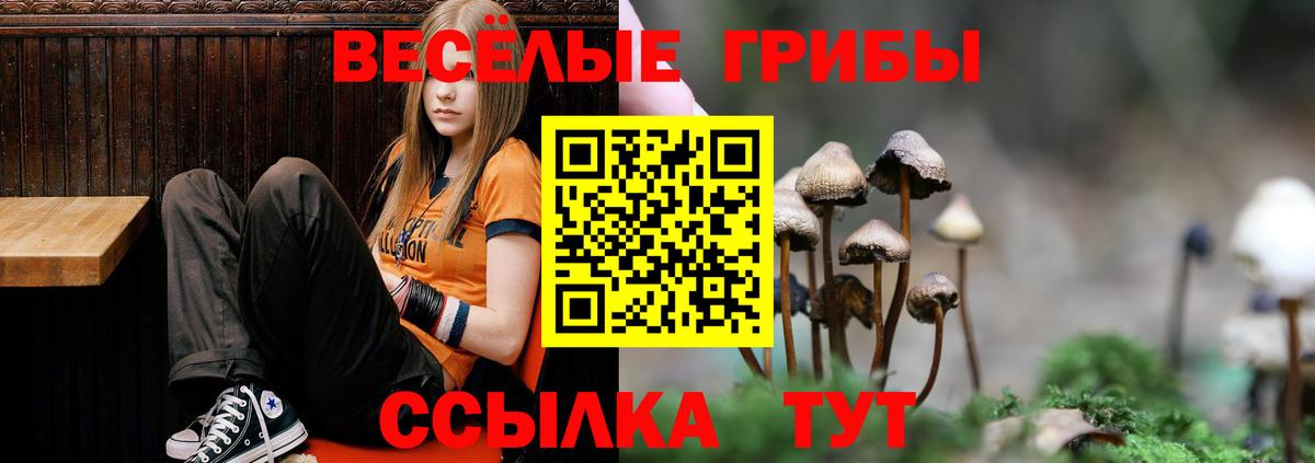 Галлюциногенные грибы ЛСД  Вход с VPN  купить наркотики цена  Волхов  Галлюциногенные грибы мухоморы 