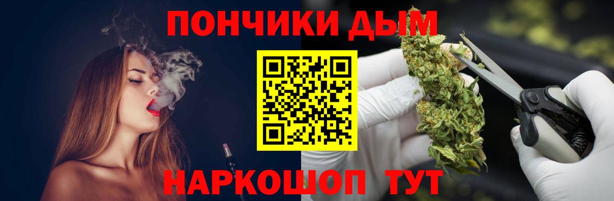 Канабис планчик  Бошки марихуана план  Шишки марихуана сатива  Конопля THC 21%  Вход с VPN  Волхов 